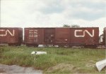 CN 557288